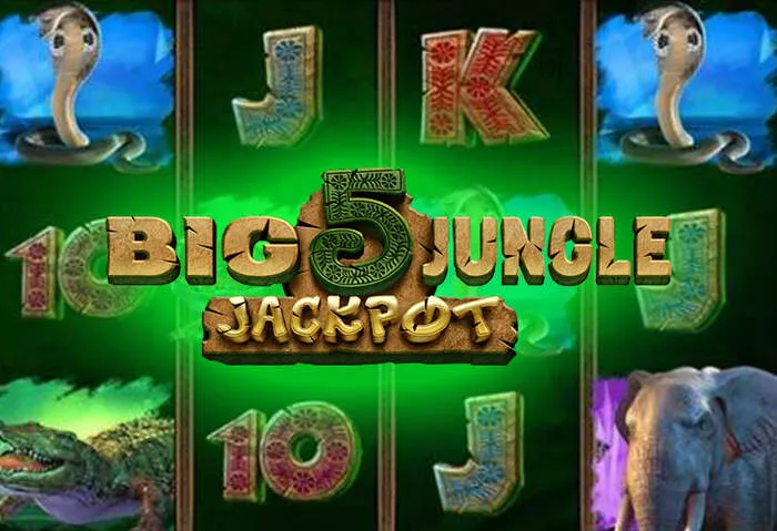 Banking options displayed on Ftvclub Casino site.